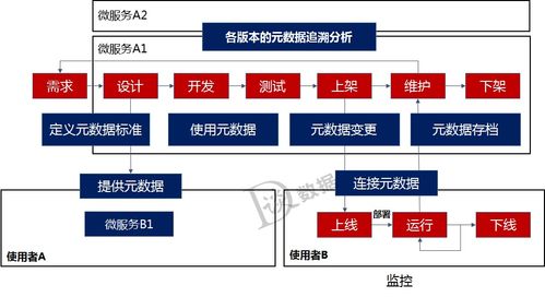 微服務架構下的數(shù)據(jù)治理與數(shù)據(jù)處理服務構建策略